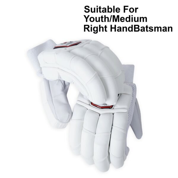 Players Edition Batting Gloves - Image 3